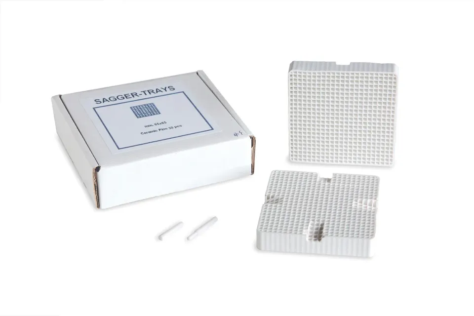 New Plastident Basi Refrattarie e Perni di Cottura Kit